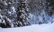 20 Il bosco innevato...